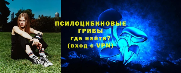 прущая мука Арсеньев