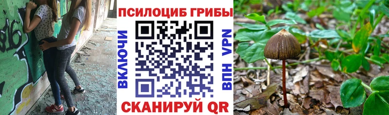 Галлюциногенные грибы Magic Shrooms  кракен маркетплейс  Рославль 